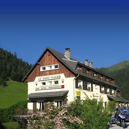 Hotel - Restaurant - Bar - Le Sapin Fleuri Bourg d'Oueil Ngoại thất bức ảnh