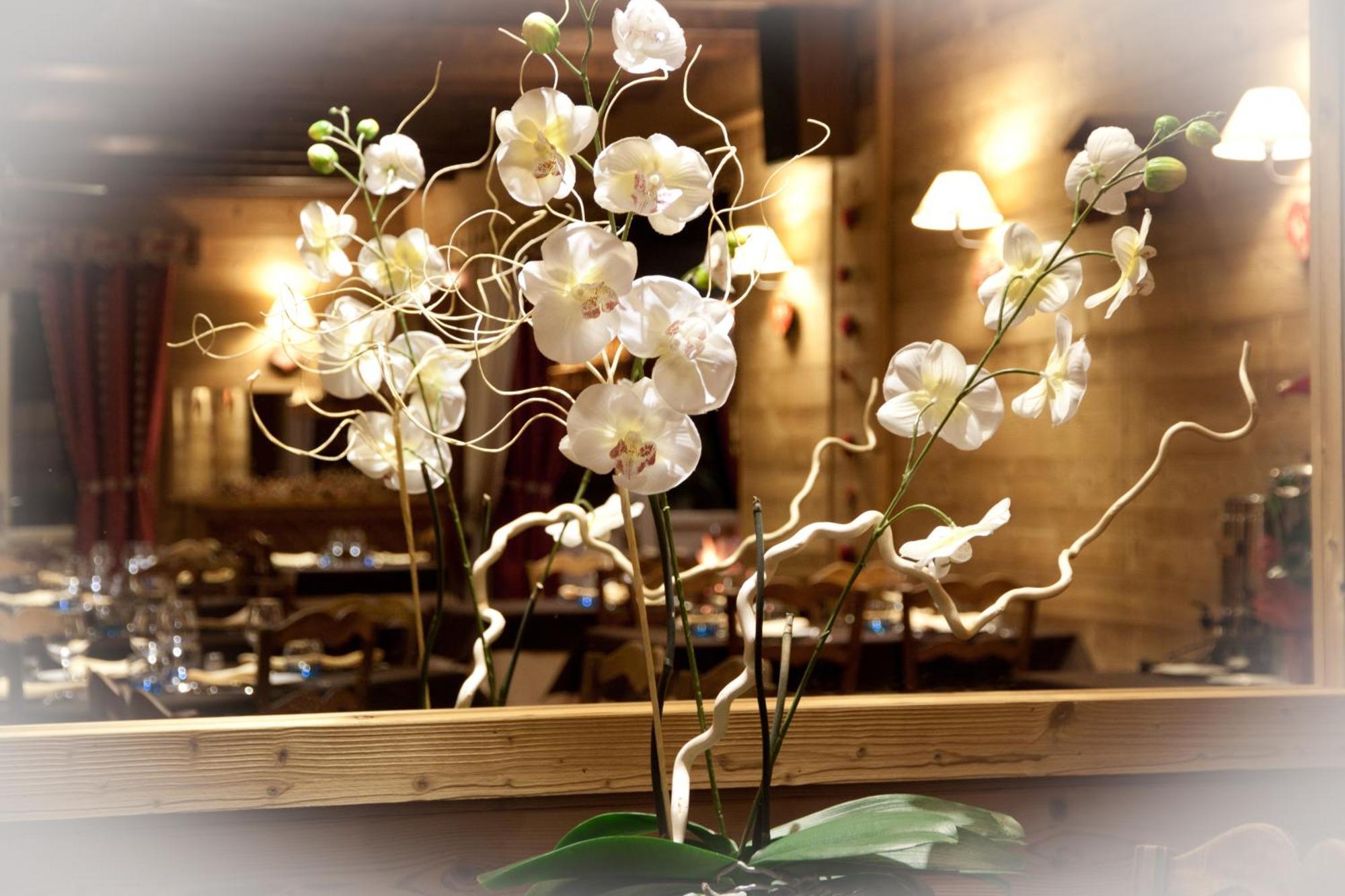 Hotel - Restaurant - Bar - Le Sapin Fleuri Bourg d'Oueil Ngoại thất bức ảnh