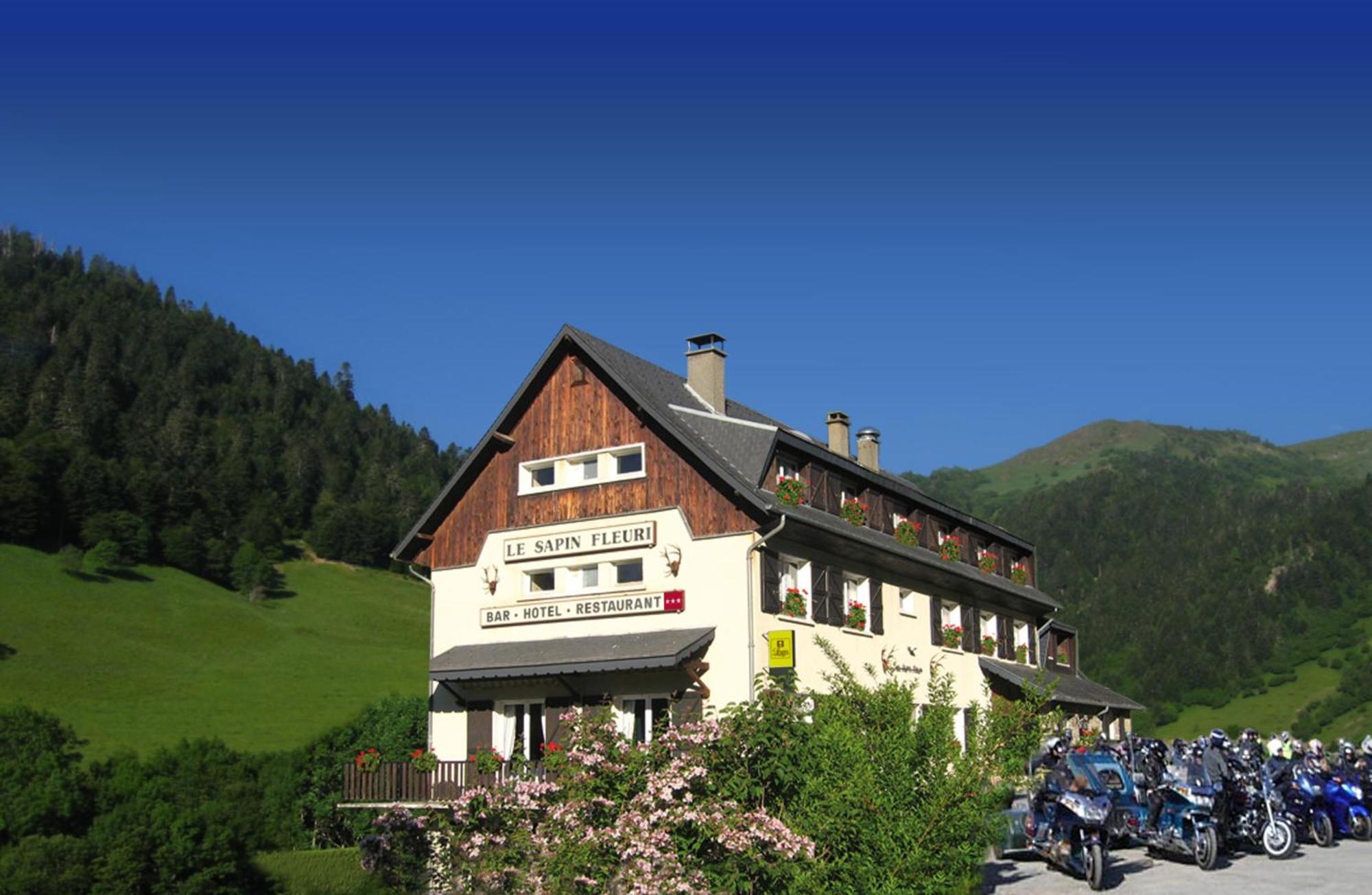 Hotel - Restaurant - Bar - Le Sapin Fleuri Bourg d'Oueil Ngoại thất bức ảnh